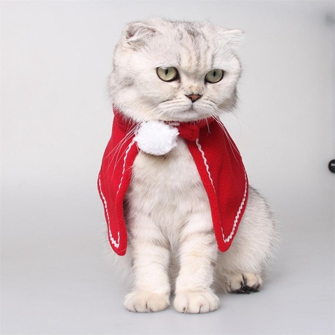 cat christmas clothes