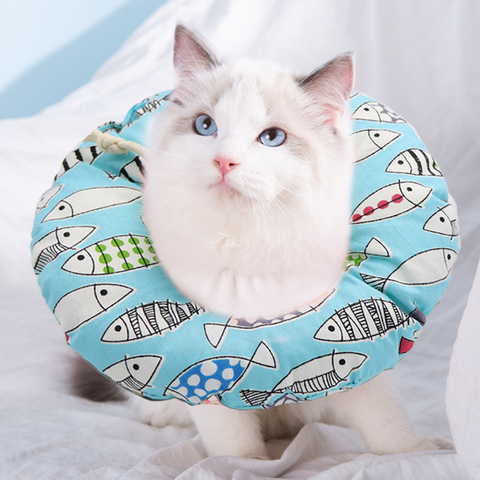 comfortable cat collar