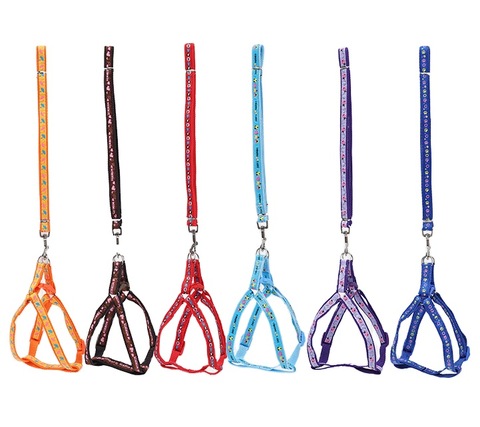 invisible dog leash wholesale