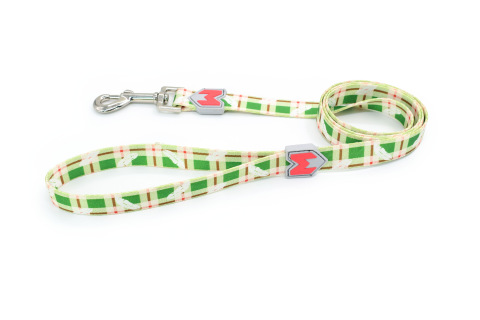 dog leash outdoor